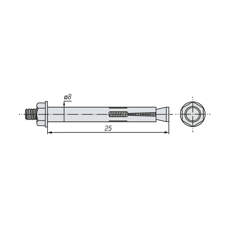 Болт анкерный с гайкой SWFS 8х25 (200 шт)