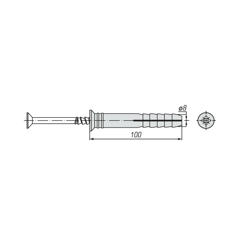 Дюбель-гвоздь SWFS 8K100 (1000 шт)