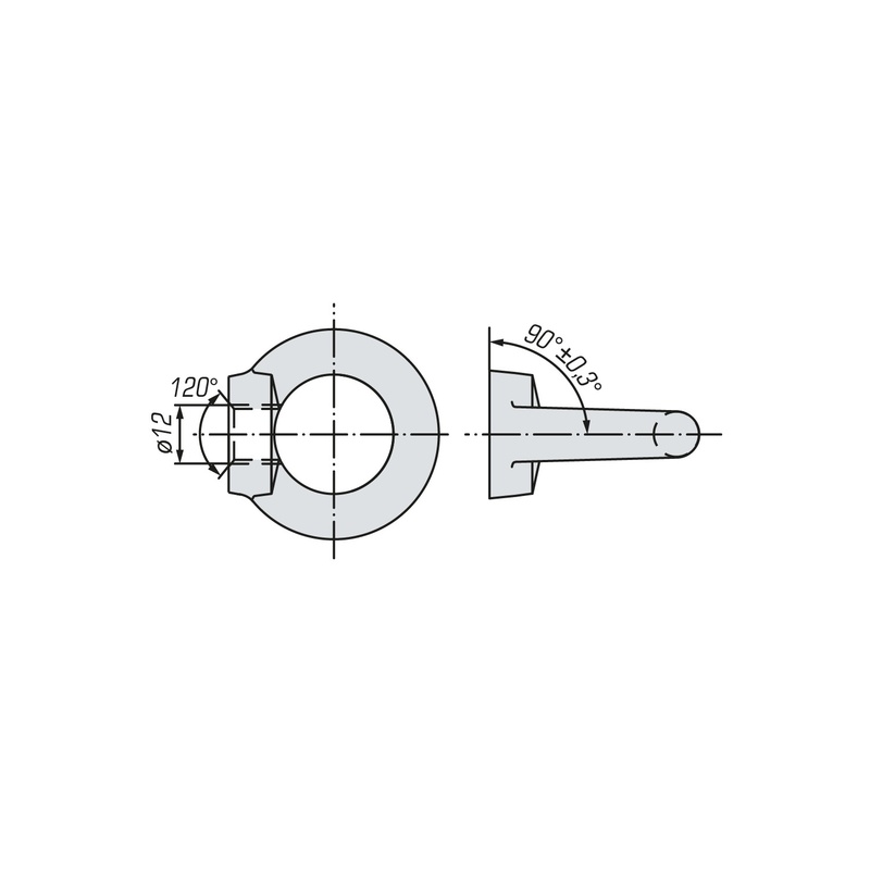 Рым-гайка SWFS DIN582 М12 (15 шт)